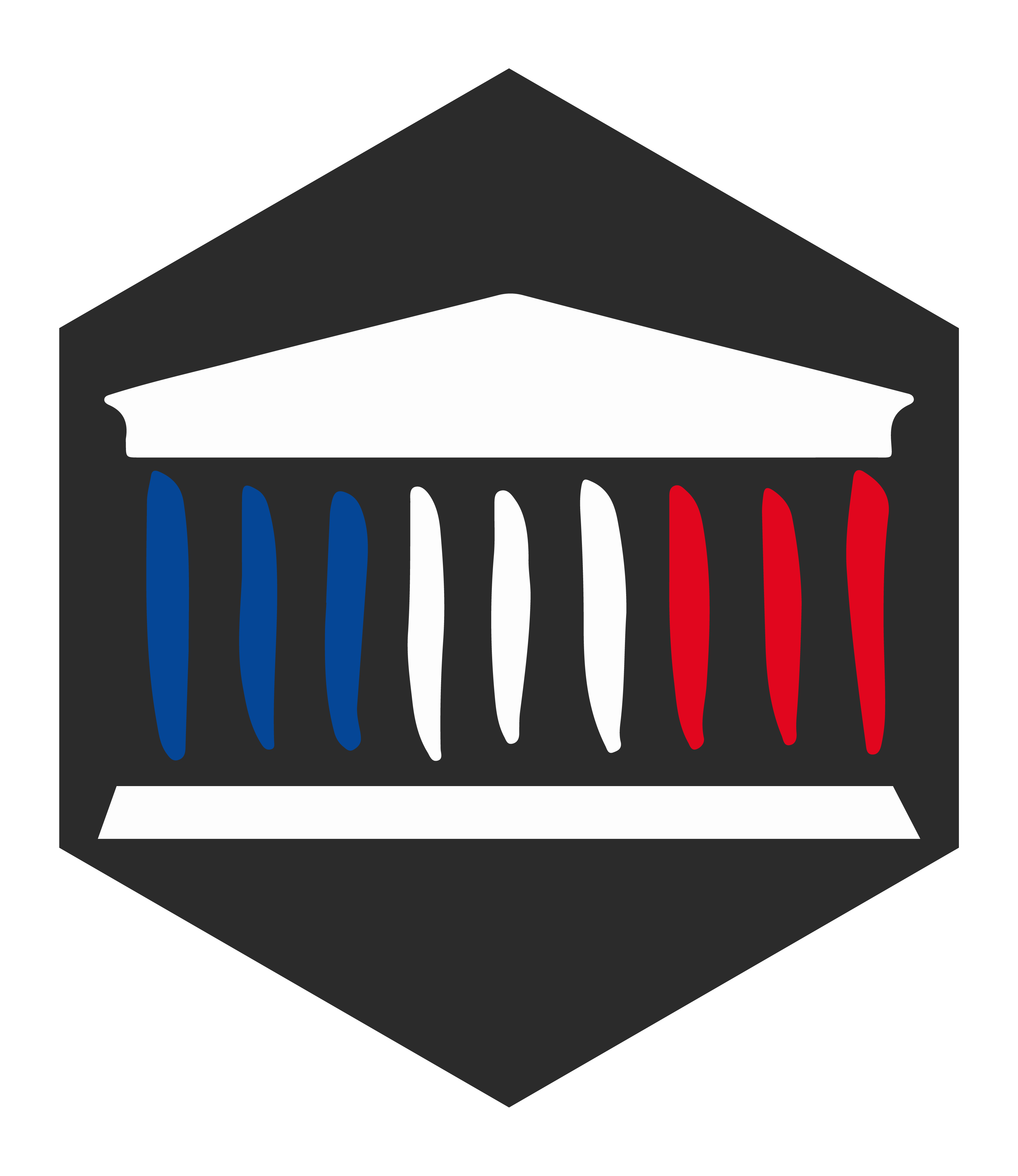 Icône de référence : Discord « République française » (Assemblée nationale)